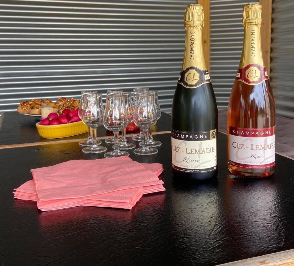Le Domaine De L Etang Le Merger Oeuilly 外观 照片